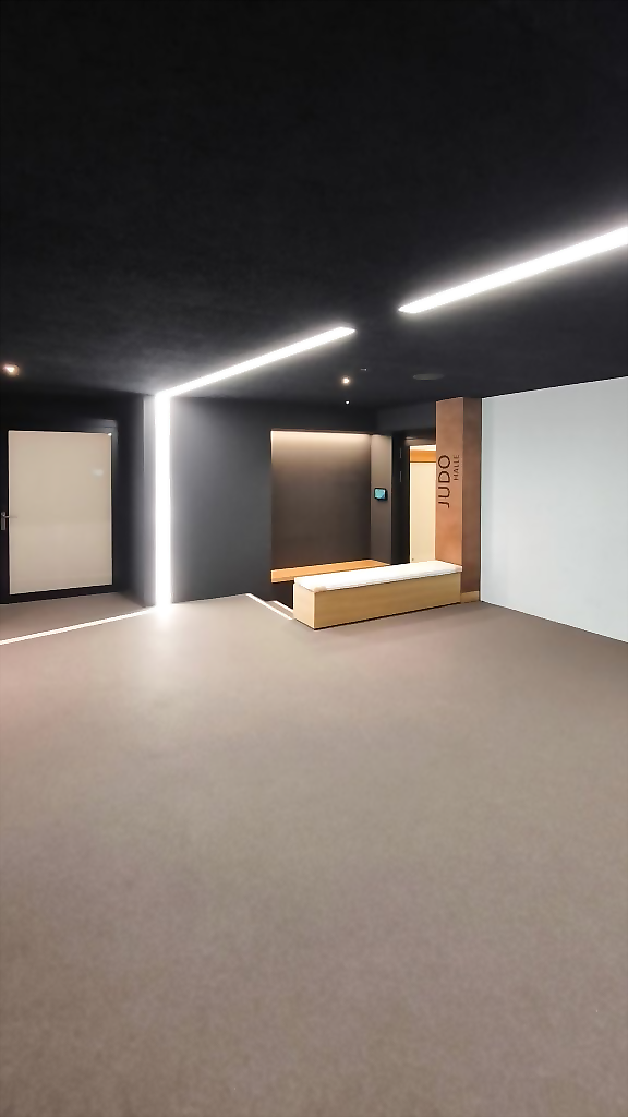 projects kunst und kultur leuchtende linien fuer den ft sportpark freiburg image