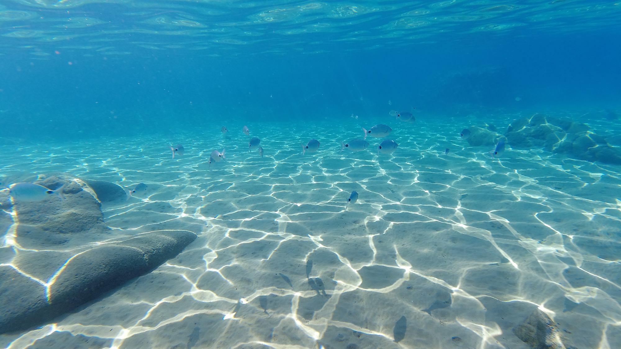 Pfahlbauten Unteruhldingen am Bodensee | Branche: Kunst und Kultur