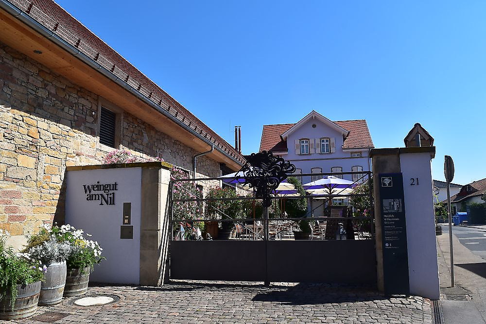 Weingut am Nil Kallstadt | Branche: Praesentation und Verkauf