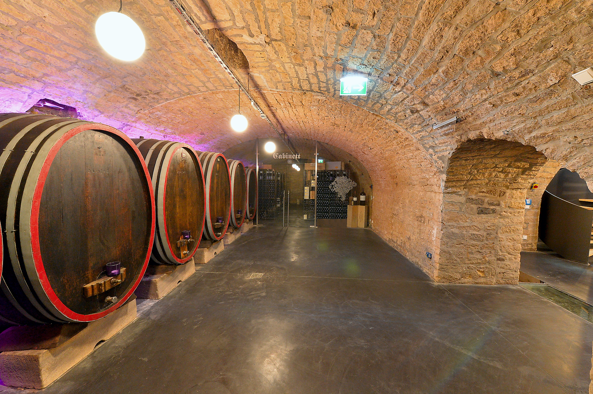 Weingut am Nil Kallstadt - Sanierung des Weinkellers im Weingut am Nil in Kallstadt