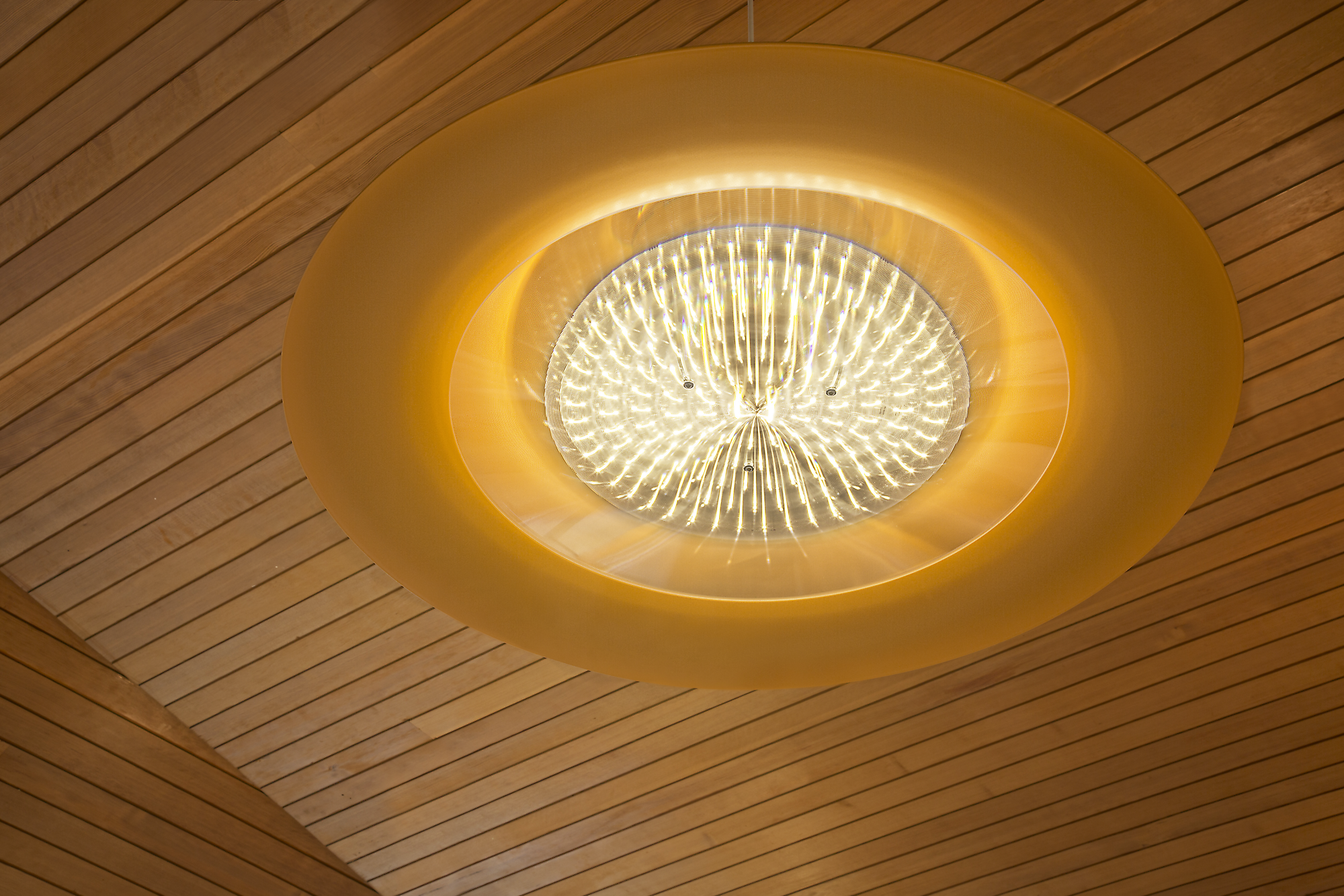 Freie Georgenschule Reutlingen | Branche: Waldorfschulen